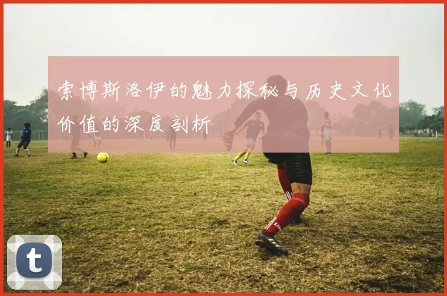 索博斯洛伊的魅力探秘与历史文化价值的深度剖析