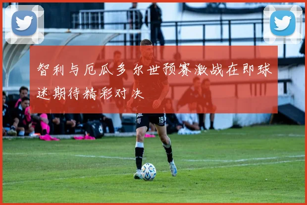 智利与厄瓜多尔世预赛激战在即球迷期待精彩对决